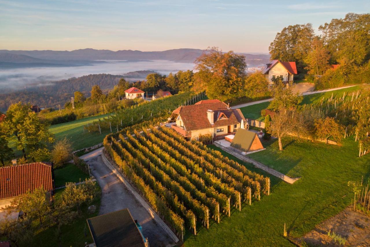 Vineyard Cottage Hocevar Novo Mesto Exteriör bild