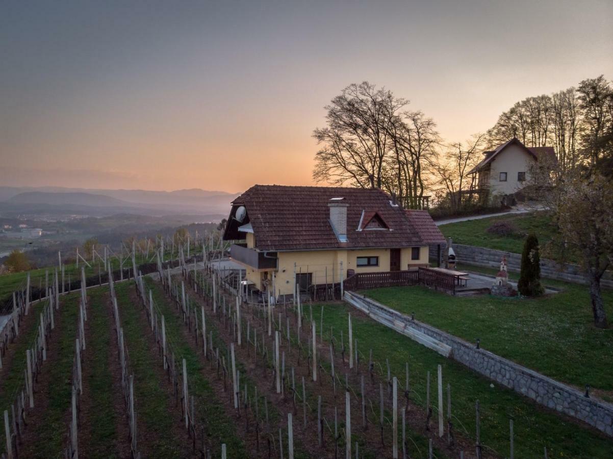 Vineyard Cottage Hocevar Novo Mesto Exteriör bild